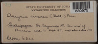 Image Associated With the Occurrence